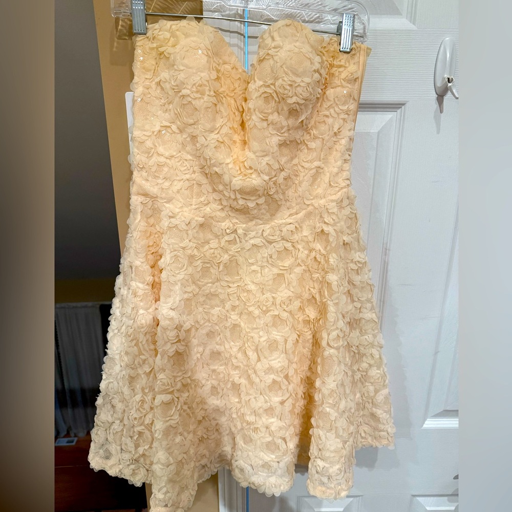 Rose sparkle party dress